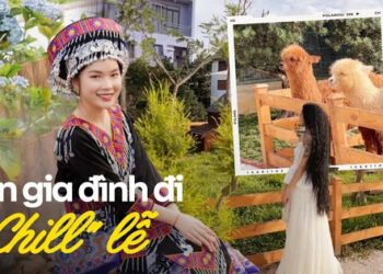 3 tiệm cafe dành cho gia đình đi chơi dịp lễ: “Chill” mát lạnh ở quán có view như núi rừng Tây Bắc, nông trại siêu rộng người lớn trẻ nhỏ đều thích!