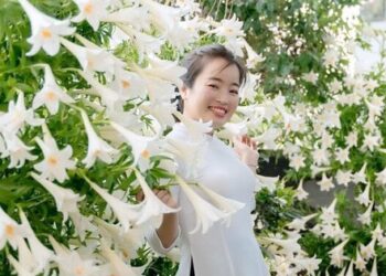 ‘Studio tại gia’ gồm 2.500 bông loa kèn của người phụ nữ Hải Phòng gây sốt mạng