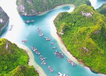 Làng chài cổ đẹp nhất thế giới ở vịnh Hạ Long tạm dừng đón khách