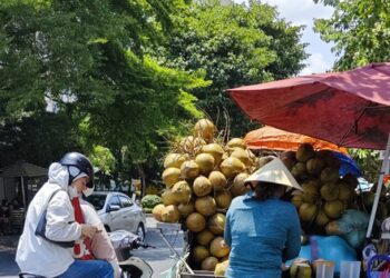 Một loại quả vừa tăng giá gấp đôi chỉ sau 1 tháng nắng nóng