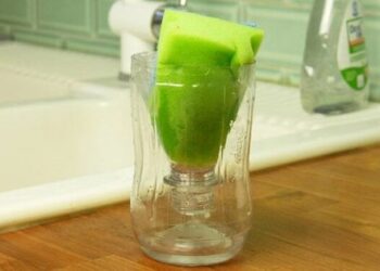 Cắt đôi chai nhựa đặt ở bồn rửa bát, bạn sẽ thấy lợi ích bất ngờ