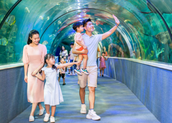Những địa điểm chơi trong ngày gần Hà Nội của trẻ em