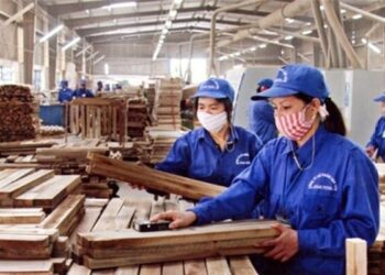 Gỗ Trường Thành hủy kế hoạch chào bán cổ phiếu riêng lẻ