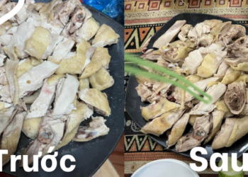 Kỳ nghỉ lễ bất ổn ở Cao Bằng: Gà luộc rồi bất ngờ tự “mọc” thêm đùi, thắc mắc thì bị chủ quán mắng “mắt chị đui à”!