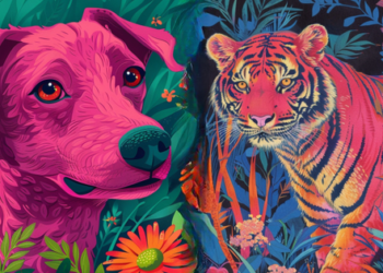 4 con giáp rất thực tế trong cuộc sống lẫn công việc, tuy vất vả thời gian đầu nhưng trung vận no đủ, tiền bạc sung túc