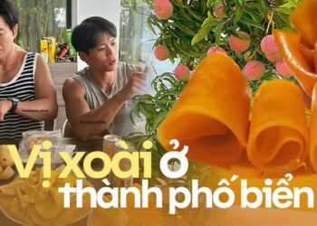 Du lịch Nha Trang phải trải nghiệm vườn xoài “đào tiên” và ăn bánh xoài: Chẳng trách Park Hae Jin cùng hội bạn “xử” hết 25kg loại quả này tại thành phố biển