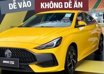 Xe Trung Quốc ở ĐNÁ: Người Việt chưa thích, Philippines không mua kể cả gắn logo xe Đức nhưng có nơi lại mua tới tấp