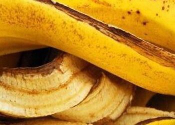 Vỏ loại quả được ví như “báu vật” trong làm sạch nhà cửa: Nhiều người vứt đi là đang lãng phí hàng ngày