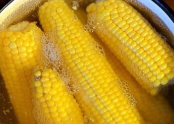 Những loại gia vị nên thêm vào khi luộc ngô
